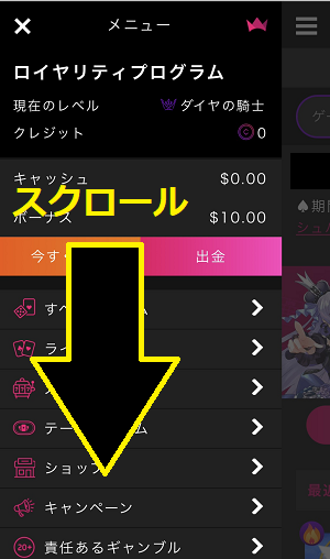 インターカジノ 問い合わせ手順2-1