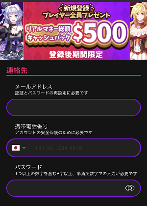 インターカジノ 登録手順3